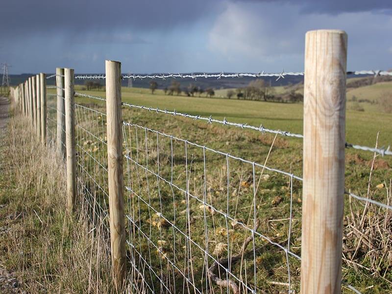 Clôture avec poteaux bois et grillage
