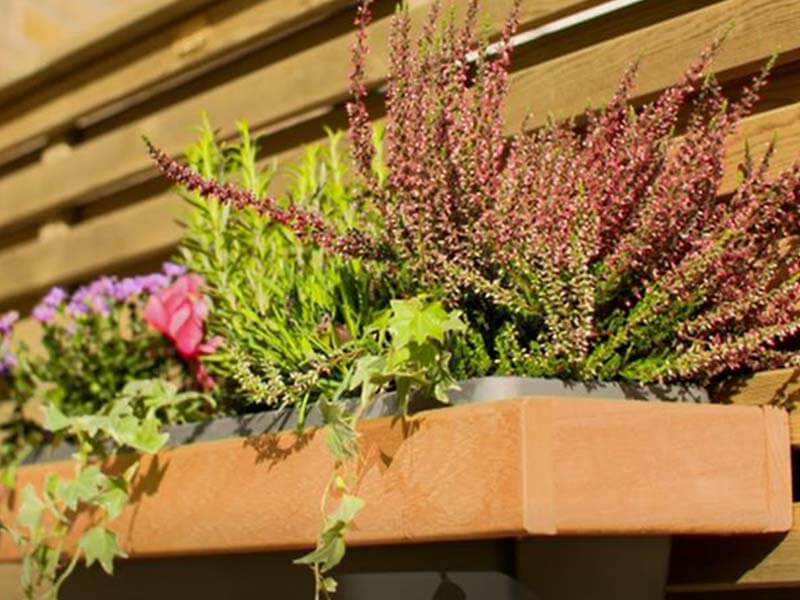 Treillis pour jardins verticaux